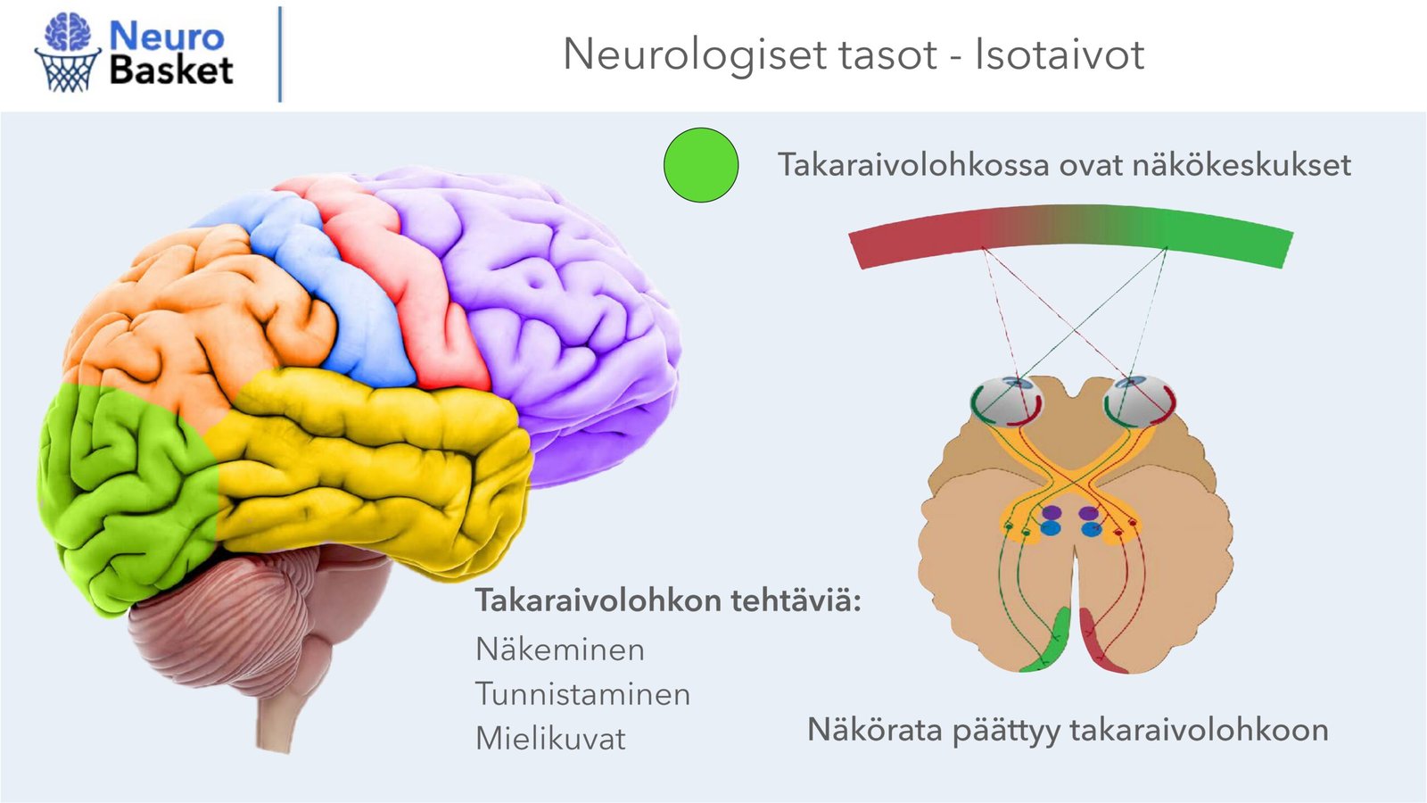 Takaraivolohko